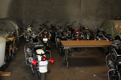 cycle garden guzzi girl